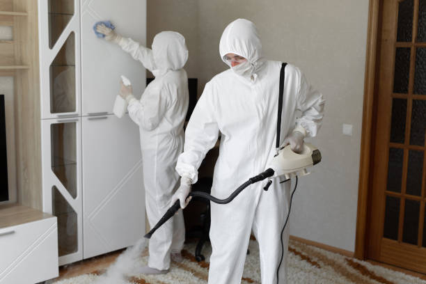 Best Black Mold Removal  in Colesville, MD