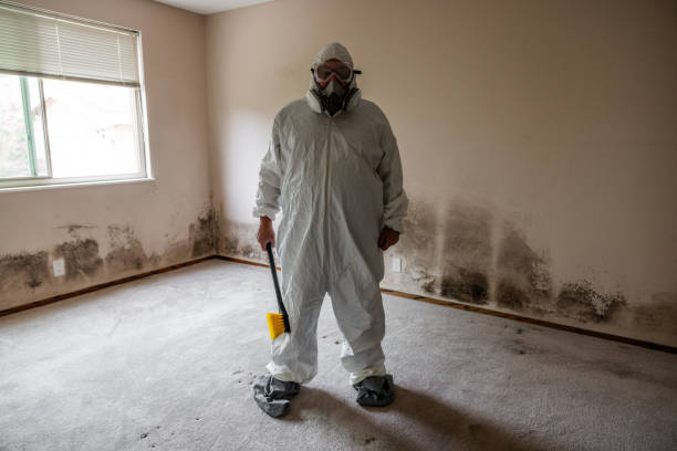 Best Professional Mold Removal  in Colesville, MD